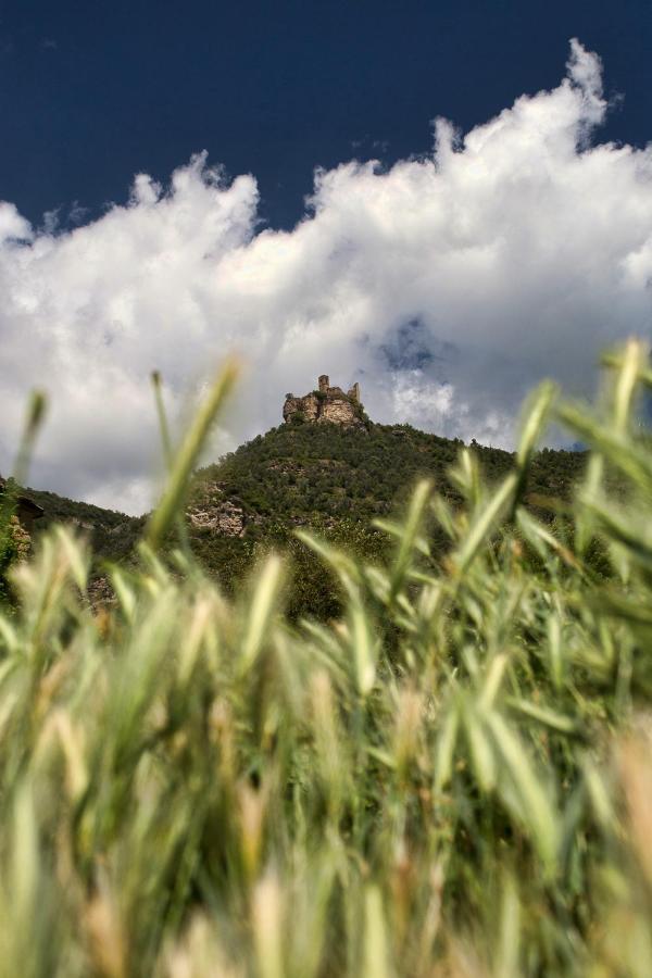 Casa El Pelaire Pension Perarrua Buitenkant foto